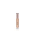 Flawless Finish Skincaring Concealer