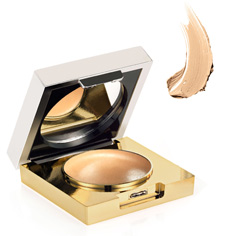 Flawless Finish Maximum Coverage Concealer